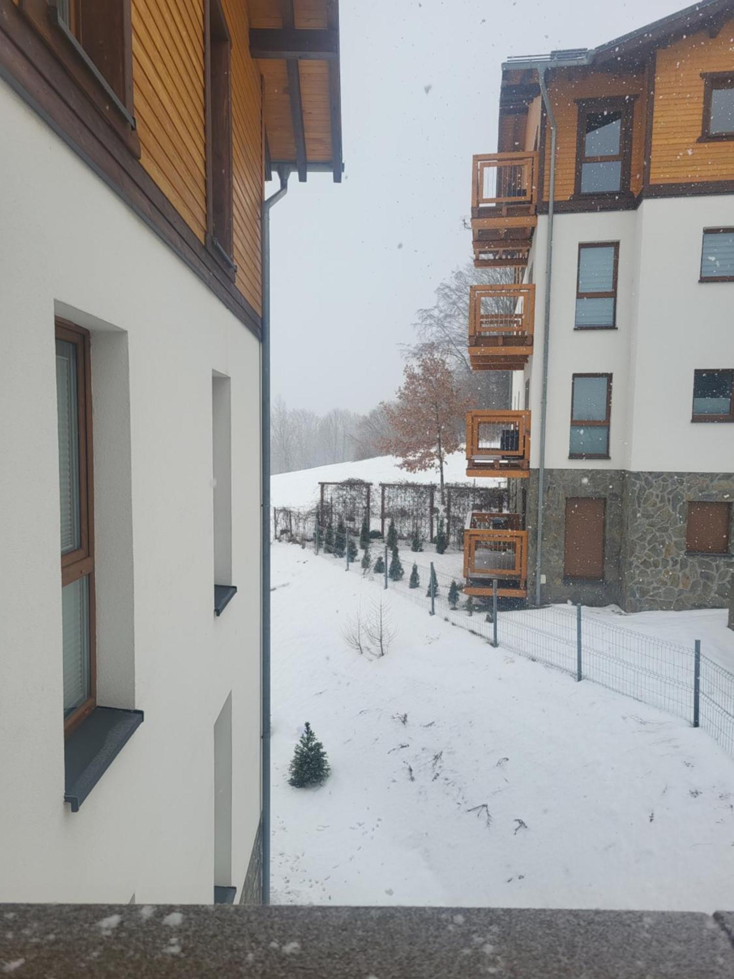 Apartament Pod Jelonkiem Szklarska Poręba Habitación foto